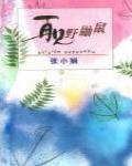 再見野鼬鼠