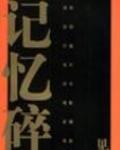 記憶碎片