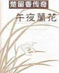 午夜蘭花