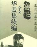 華蓋集續編的續編