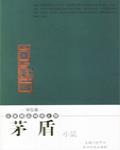 茅盾小說集