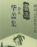 華蓋集