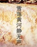 雪落黃河靜無聲