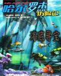 哈爾羅傑歷險記4:海底尋寶