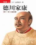 德川家康·第十一部·王道無敵