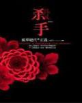 殺手·風華絕代的正義