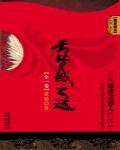 雲夢城之謎