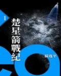 楚星箭戰紀