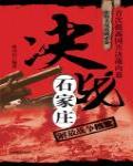 決戰石家莊：解放戰爭檔案
