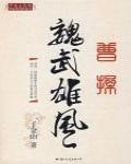 曹操·魏武雄風