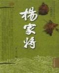 楊家將演義