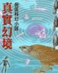 真實幻境