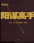陽謀高手
