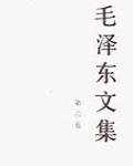 毛澤東文集 第六卷