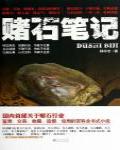 賭石筆記