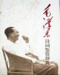 毛澤東詩詞鑒賞辭典