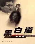 黑白道前傳·使命