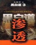 黑白道3·滲透