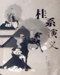 桂系演義