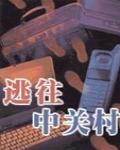 逃往中關村