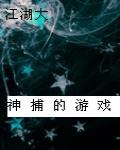神捕的遊戲