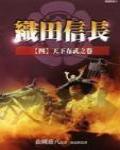 織田信長4·天下布武之卷