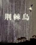 荊棘鳥